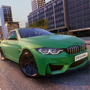 Realistic Parking